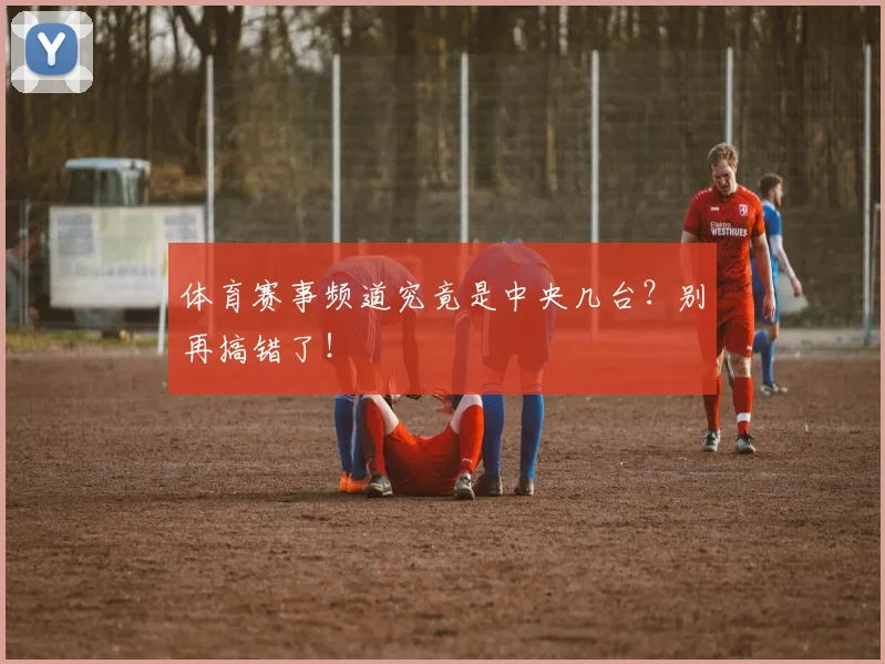 体育赛事频道究竟是中央几台？别再搞错了！